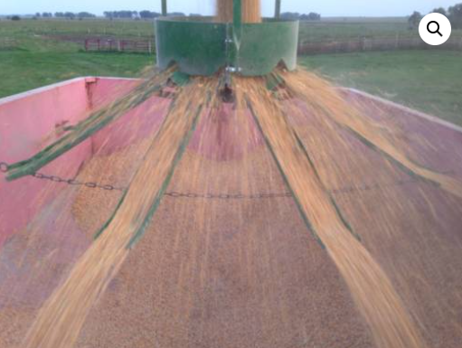 Agnew 100XL Spreader 24'-48' dia. 10,000 bu static model